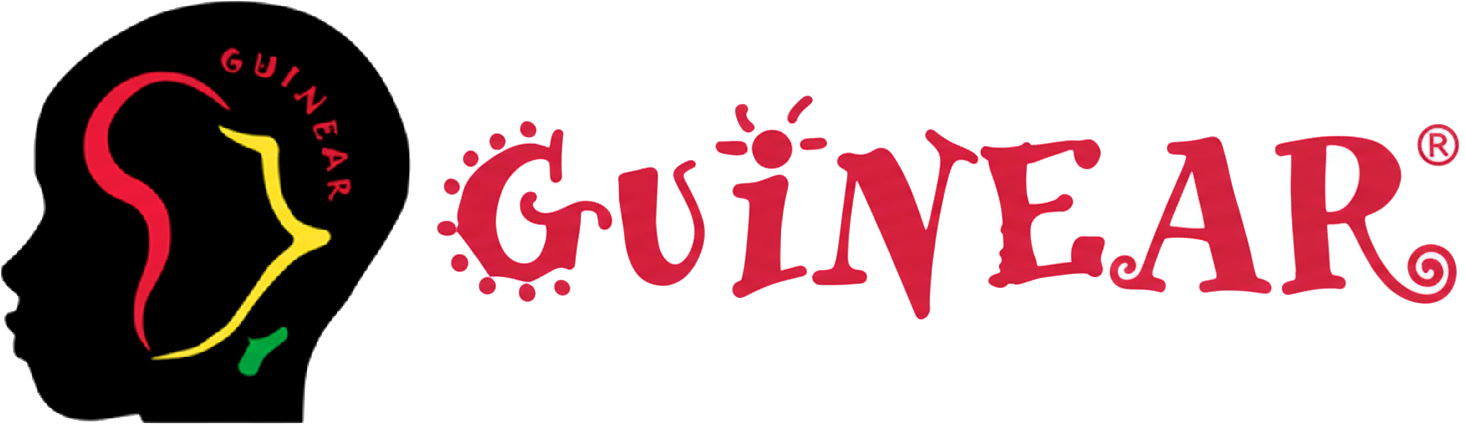 Guinear ONG | Mantenimiento y Gestión Web